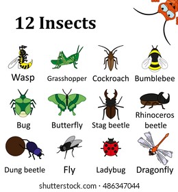 Set of 12 colored images insects on a white background. Logos, symbol, sign for the company, studies dealing with insects or their destruction. Vector Illustration