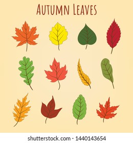 Set of 12 colorful mix autumn leaves element for decorate artwork in autumnal season vector flat style illustration