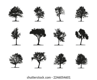 Conjunto de 12 siluetas de árboles caducifolios