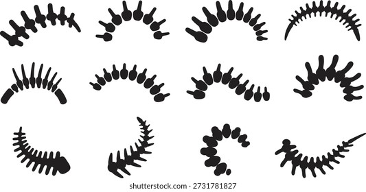 Un conjunto de 12 diseños diferentes de pestañas postizas, cada uno con características y estilos únicos, presentados sobre un fondo blanco liso.