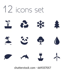 Set Of 12 Ecology Icons Set.Collection Of Conservation, Spruce, Isle Beach And Other Elements.