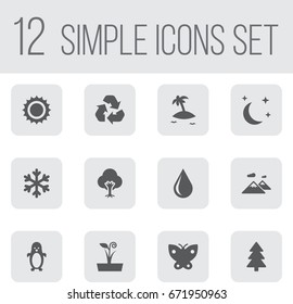 Set Of 12 Ecology Icons Set.Collection Of Solar, Tree, Polar Bird And Other Elements.