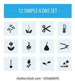 Set Of 12 Editable Agriculture Icons. Includes Symbols Such As Beauty Flower, Cut, Duchess And More. Can Be Used For Web, Mobile, UI And Infographic Design.