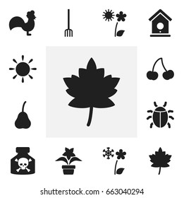 Set Of 12 Editable Agriculture Icons. Includes Symbols Such As Frosts, Berry, Leaf And More. Can Be Used For Web, Mobile, UI And Infographic Design.