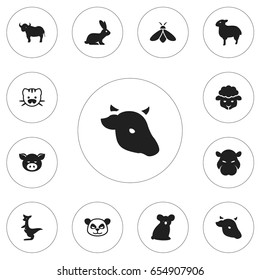 Set Of 12 Editable Animal Icons. Includes Symbols Such As Kangaroo, Hippopotamus, Lamb And More. Can Be Used For Web, Mobile, UI And Infographic Design.