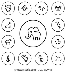 Set Of 12 Editable Animal Outline Icons. Includes Symbols Such As Hippo, Polar, Penguin And More. Can Be Used For Web, Mobile, UI And Infographic Design.