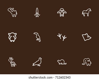 Set Of 12 Editable Animal Outline Icons. Includes Symbols Such As Polar, Dromedary, Giraffe And More. Can Be Used For Web, Mobile, UI And Infographic Design.