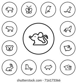 Set Of 12 Editable Animal Outline Icons. Includes Symbols Such As Bison, Panda, Dogfish. Can Be Used For Web, Mobile, UI And Infographic Design.