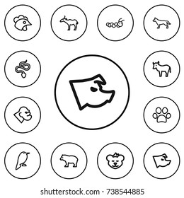 Set Of 12 Editable Animal Outline Icons. Includes Symbols Such As Philomel, Snake, Gorilla And More. Can Be Used For Web, Mobile, UI And Infographic Design.