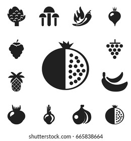 Set Of 12 Editable Berry Icons. Includes Symbols Such As Sativum, Paprika, Tropical Fruit And More. Can Be Used For Web, Mobile, UI And Infographic Design.