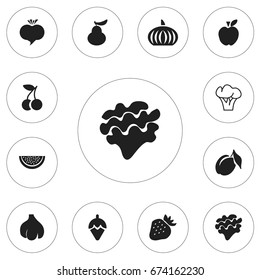 Set Of 12 Editable Berry Icons. Includes Symbols Such As Tree, Duchess, Radish And More. Can Be Used For Web, Mobile, UI And Infographic Design.