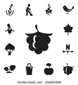 Set Of 12 Editable Gardening Icons. Includes Symbols Such As Blossom, Breeze Direction, Soil Plant And More. Can Be Used For Web, Mobile, UI And Infographic Design.