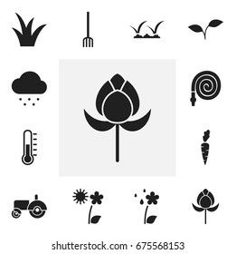 Set Of 12 Editable Gardening Icons. Includes Symbols Such As Temperature, Medical Herb, Seedling And More. Can Be Used For Web, Mobile, UI And Infographic Design.