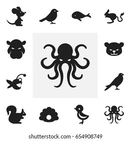 Set Of 12 Editable  Icons. Includes Symbols Such As Wild Rodent, Puma, Jerboa And More. Can Be Used For Web, Mobile, UI And Infographic Design.