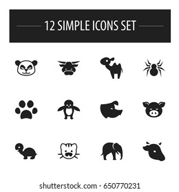 Set Of 12 Editable Nature Icons. Includes Symbols Such As Penguin, Dromedary, Bull And More. Can Be Used For Web, Mobile, UI And Infographic Design.