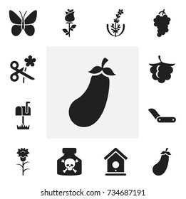 Set Of 12 Editable Planting Icons. Includes Symbols Such As Cluster, Blackberry, Trimming And More. Can Be Used For Web, Mobile, UI And Infographic Design.