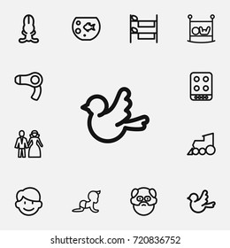 Set Of 12 Editable Relatives Outline Icons. Includes Symbols Such As Infant Bed, Locomotive, Fish Tank And More. Can Be Used For Web, Mobile, UI And Infographic Design.