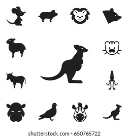 Set Of 12 Editable Zoo Icons. Includes Symbols Such As Pig, Hippopotamus, Grizzly And More. Can Be Used For Web, Mobile, UI And Infographic Design.