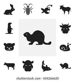 Set Of 12 Editable Zoo Icons. Includes Symbols Such As Kine, Fish, Rabbit And More. Can Be Used For Web, Mobile, UI And Infographic Design.