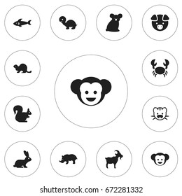 Set Of 12 Editable Zoo Icons. Includes Symbols Such As Tortoise, Baboon, Shark And More. Can Be Used For Web, Mobile, UI And Infographic Design.