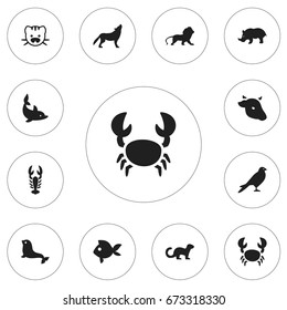 Set Of 12 Editable Zoo Icons. Includes Symbols Such As Crawfish, Turbot, Polecat And More. Can Be Used For Web, Mobile, UI And Infographic Design.