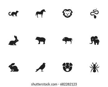 Set Of 12 Editable Zoo Icons. Includes Symbols Such As Panda, Wildcat, Bunny. Can Be Used For Web, Mobile, UI And Infographic Design.