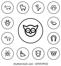Set Of 12 Editable Zoo Outline Icons. Includes Symbols Such As Antelope, Camelopard, Beetle And More. Can Be Used For Web, Mobile, UI And Infographic Design.