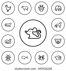 Set Of 12 Editable Zoo Outline Icons. Includes Symbols Such As Cock, Polecat, Camelopard And More. Can Be Used For Web, Mobile, UI And Infographic Design.