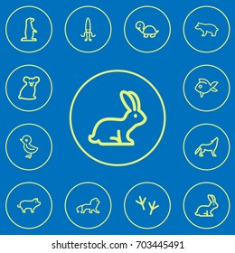 Set Of 12 Editable Zoo Outline Icons. Includes Symbols Such As Predator, Tortoise, Bird And More. Can Be Used For Web, Mobile, UI And Infographic Design.