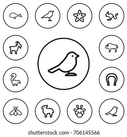 Set Of 12 Editable Zoo Outline Icons. Includes Symbols Such As Bumblebee, Cachalot, Bison And More. Can Be Used For Web, Mobile, UI And Infographic Design.