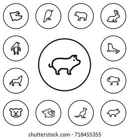 Set Of 12 Editable Zoo Outline Icons. Includes Symbols Such As Wolf, Dogfish, Wallaby And More. Can Be Used For Web, Mobile, UI And Infographic Design.