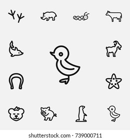 Set Of 12 Editable Zoo Outline Icons. Includes Symbols Such As Rhinoceros, Bird Trace, Horseshoe And More. Can Be Used For Web, Mobile, UI And Infographic Design.