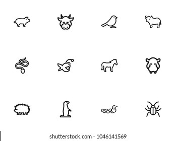 Set of 12 editable zoology icons line style. Includes symbols such as larva, crow, fish and more. Can be used for web, mobile, UI and infographic design.