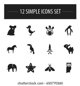 Set Of 12 Editable Zoology Icons. Includes Symbols Such As Horse, Sea Star, Octopus And More. Can Be Used For Web, Mobile, UI And Infographic Design.