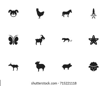 Set Of 12 Editable Zoology Icons. Includes Symbols Such As Lamb, Octopus, Stallion And More. Can Be Used For Web, Mobile, UI And Infographic Design.