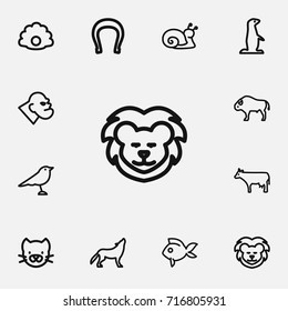 Set Of 12 Editable Zoology Outline Icons. Includes Symbols Such As Horseshoe, Wolf, Gopher And More. Can Be Used For Web, Mobile, UI And Infographic Design.