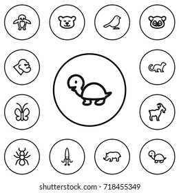 Set Of 12 Editable Zoology Outline Icons. Includes Symbols Such As Goat, Tortoise, Gorilla And More. Can Be Used For Web, Mobile, UI And Infographic Design.