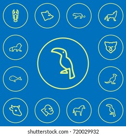 Set Of 12 Editable Zoology Outline Icons. Includes Symbols Such As Toucan, Polar, Wolf And More. Can Be Used For Web, Mobile, UI And Infographic Design.