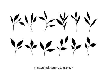 Set of 12 fantasy plants. Hand drawn botanical elements on white background. Vector illustration. Vector illustration