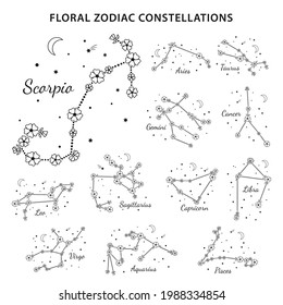 Set of 12 floral zodiac signs with titles. Constellations of Aries, Taurus, Gemini, Cancer, Leo, Virgo, Libra, Scorpio, Aquarius, Sagittarius, Capricorn, Pisces. Vector illustration, white background