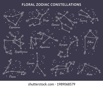 Set of 12 floral zodiac signs with titles. Constellations of Aries, Taurus, Gemini, Cancer, Leo, Virgo, Libra, Scorpio, Aquarius, Sagittarius, Capricorn, Pisces. Vector illustration, blue background