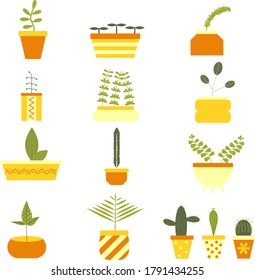 conjunto de 12 macetas de flores con plantas en colores naranja y amarillo