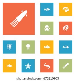 Set Of 12 Food Icons Set.Collection Of Devilfish, Japanese Roll, Acne And Other Elements.