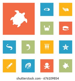Set Of 12 Food Icons Set.Collection Of Shell, Calamary, Devilfish And Other Elements.