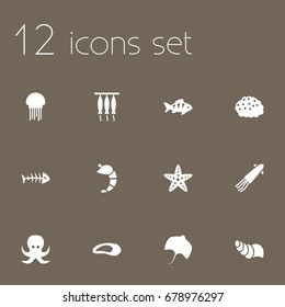 Set Of 12 Food Icons Set.Collection Of Smoked, Fish, Sink And Other Elements.