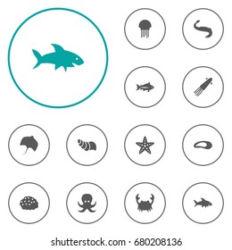 Set Of 12 Food Icons Set.Collection Of Calamary, Lobster, Clam And Other Elements.