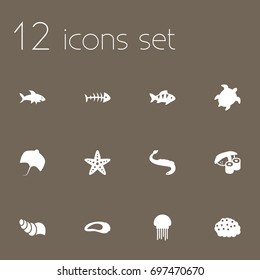 Set Of 12 Food Icons Set.Collection Of Clam, Roe, Sea Star And Other Elements.