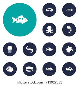 Set Of 12 Food Icons Set.Collection Of Tortoise, Shell, Devilfish And Other Elements.
