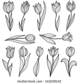 set of 12 hand drawn decorative tulip flowers, design elemets