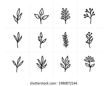 Set of 12 hand-drawn botanical elements with white background. Black plants doodle vector.